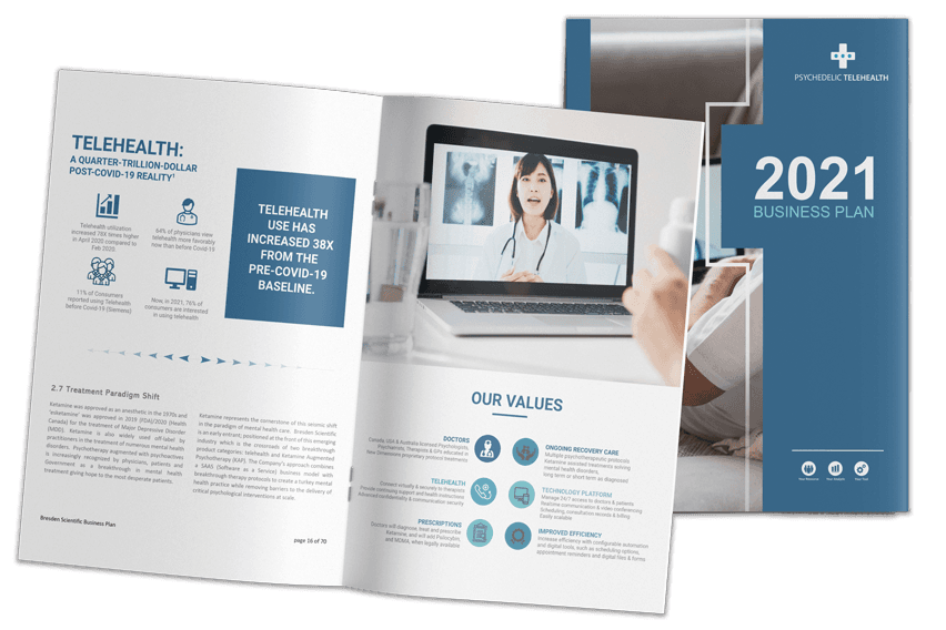 Neuro Psychedelic Telehealth business plan, open spread