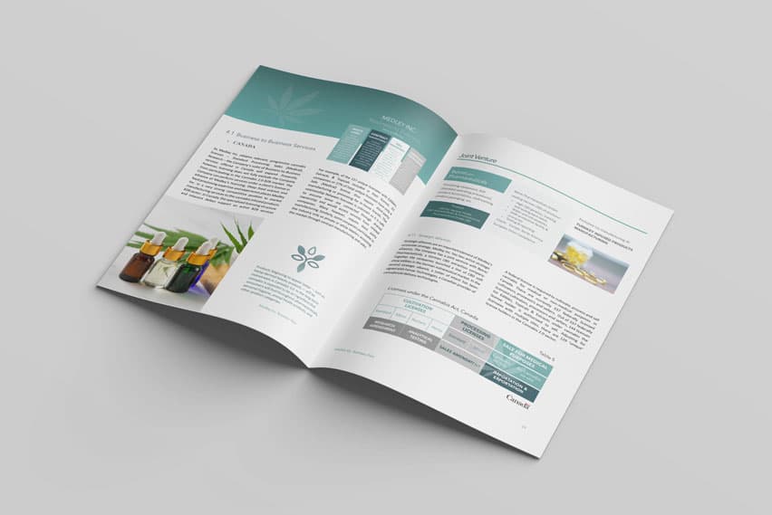 Illuminate Wellness cannabis wellness business plan, open spread in green and pink
