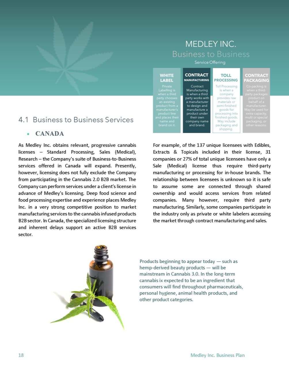 Cannabis Wellness business plan sample page 1