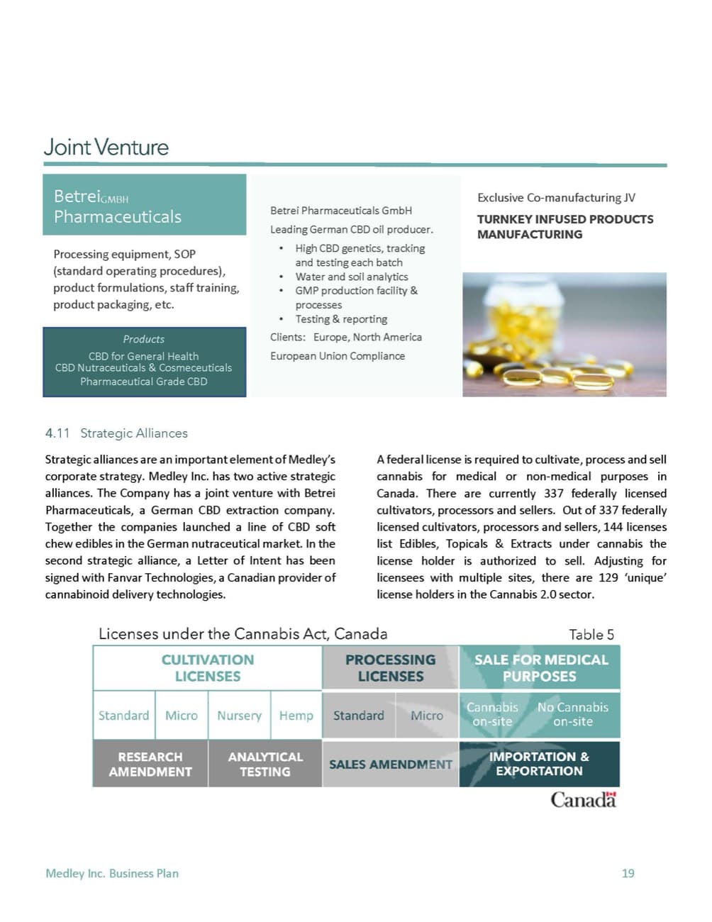 Cannabis Wellness business plan sample page 2